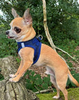 Tiny Trails Step In Air Mesh Puppy and Small Dog Harness Navy