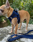 Tiny Trails Step In Air Mesh Puppy and Small Dog Harness Navy