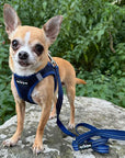 Tiny Trails Step In Air Mesh Puppy and Small Dog Harness Navy