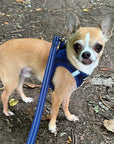 Tiny Trails Step In Air Mesh Puppy and Small Dog Harness Navy
