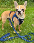 Tiny Trails Step In Air Mesh Puppy and Small Dog Harness Navy