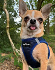 Tiny Trails Step In Air Mesh Puppy and Small Dog Harness Navy