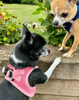 Tiny Trails Step In Air Mesh Puppy and Small Dog Harness Pink