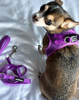 Tiny Trails Step In Air Mesh Puppy and Small Dog Harness Purple