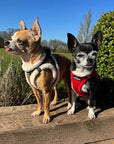 Tiny Trails Step In Soft Touch Suede Effect Faux Fur Lined Puppy and Small Dog Harness Mocha