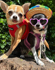 Tiny Trails Step In Air Mesh Puppy and Small Dog Harness Red