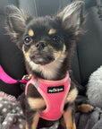 Tiny Trails Step In Air Mesh Puppy and Small Dog Harness Pink