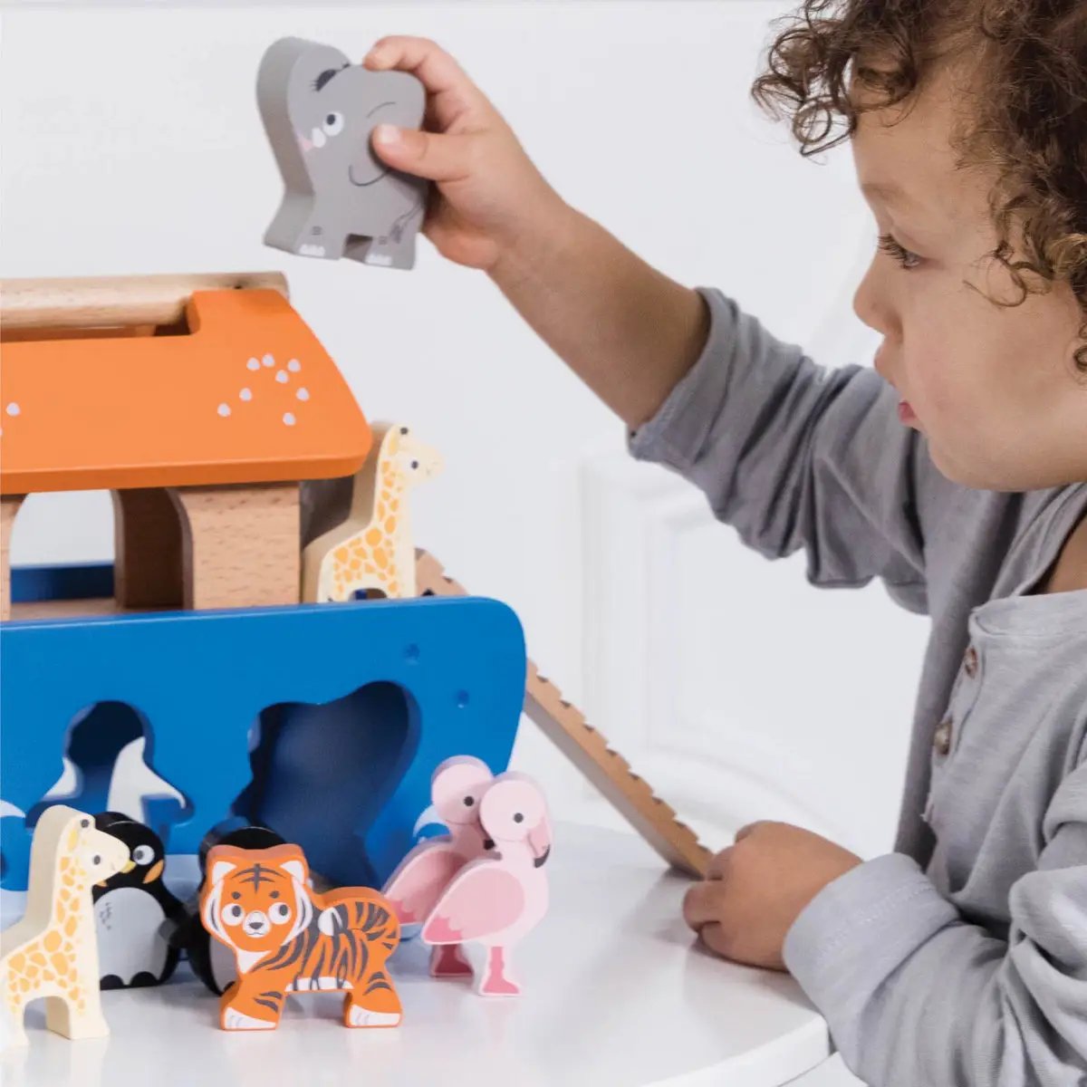 Noah's Ark &amp; Animals Shape Sorter