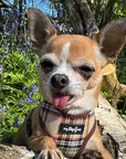 Luxury Brown Tartan Harness by My Pup and Me