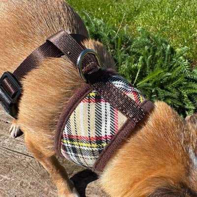 Luxury Brown Tartan Harness by My Pup and Me