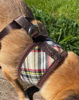 Luxury Brown Tartan Harness by My Pup and Me