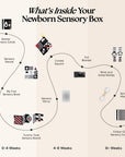 The Newborn Sensory Box (0-6+ Months)