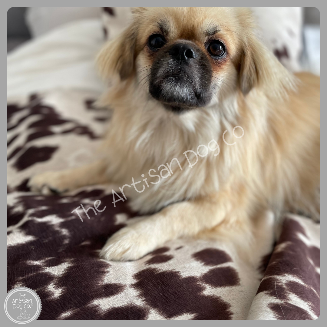 Moody Cow Reversible Pet Blanket | Faux Cowhide &amp; Sherpa | Handmade Luxury Throw for Dogs | Protects Furniture UK