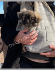 Handcrafted, luxury puppy/small dog carrier/sling - Harris Grey Check