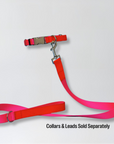 Pink/Orange Nylon Lead