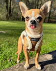 Tiny Trails Step In Soft Touch Suede Effect Faux Fur Lined Puppy and Small Dog Harness Mocha