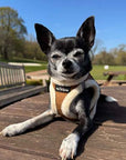 Tiny Trails Step In Soft Touch Suede Effect Faux Fur Lined Puppy and Small Dog Harness Mocha
