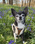 Tiny Trails Step In Soft Touch Suede Effect Faux Fur Lined Puppy and Small Dog Harness Mocha