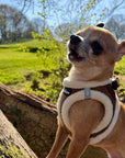 Tiny Trails Step In Soft Touch Suede Effect Faux Fur Lined Puppy and Small Dog Harness Mocha