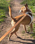 Tiny Trails Step In Soft Touch Suede Effect Faux Fur Lined Puppy and Small Dog Harness Mocha
