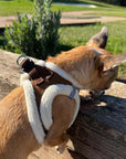 Tiny Trails Step In Soft Touch Suede Effect Faux Fur Lined Puppy and Small Dog Harness Mocha