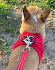 Tiny Trails Step In Air Mesh Puppy and Small Dog Harness Red
