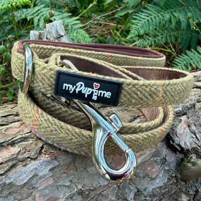 Luxury Tweed Lead by My Pup and Me