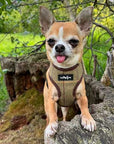 Luxury Tweed Harness by My Pup and Me