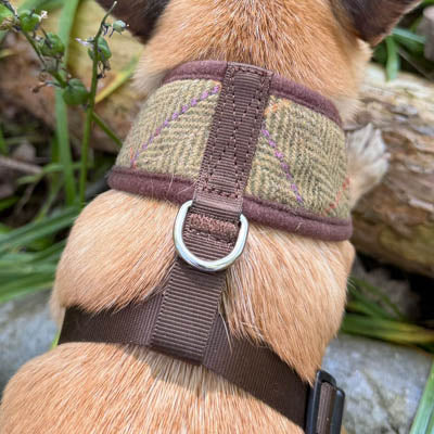 Luxury Tweed Harness by My Pup and Me