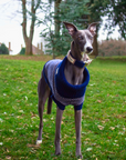 Navy Dog Jumper In Merino Lambswool