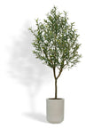 7ft Artificial Olive Tree with Planter