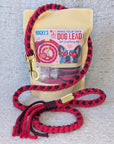 Heart Pattern Red Valentine's Day Make Your Own Dog Lead Craft Kit