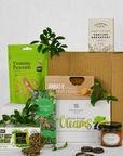 Vegan Gift Box