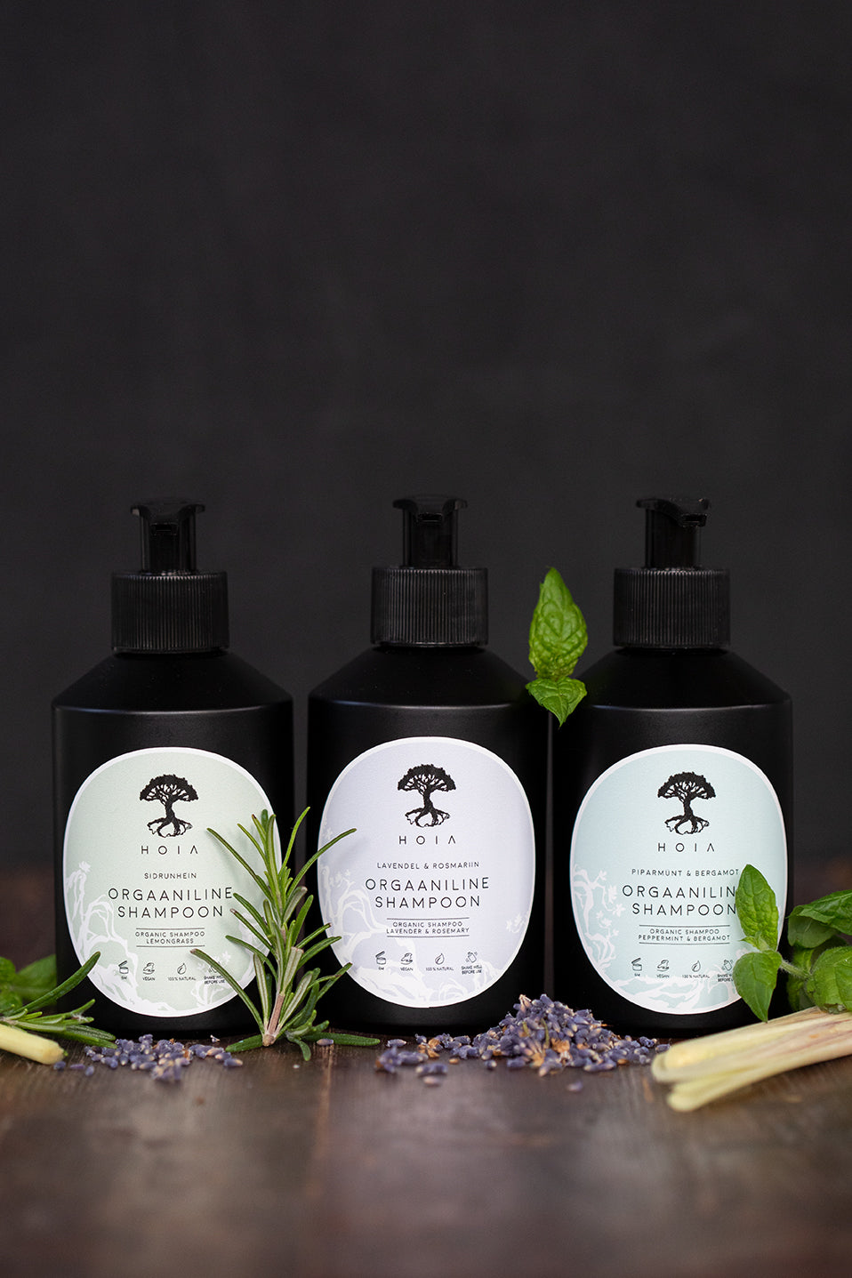 Organic Fresh Peppermint Shampoo – Stimulate & Nourish Hair by HOIA at www.brixbailey.com