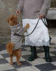 Oatmeal British Wool Dog Jumper