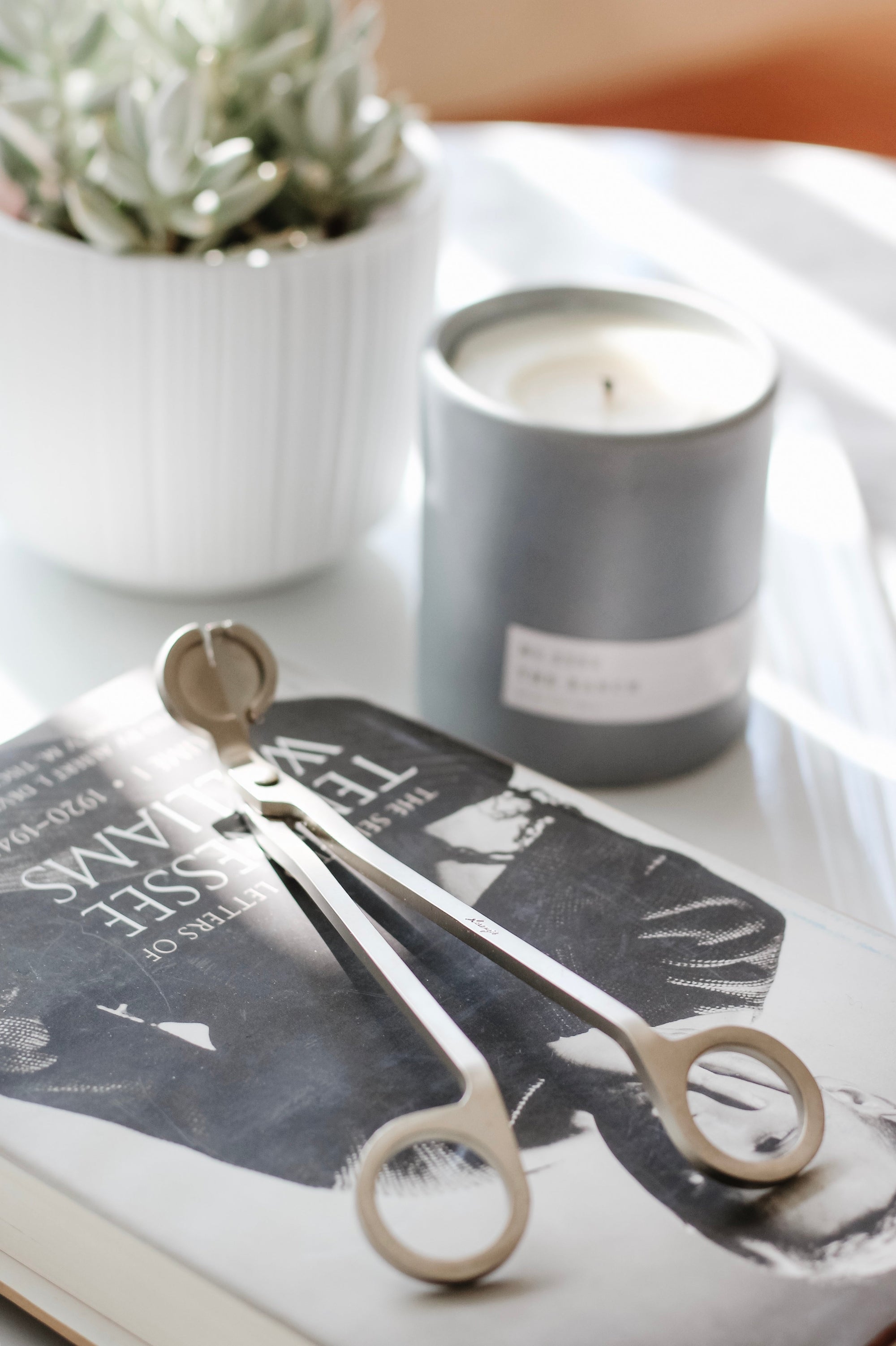 Candle Wick Trimmer-3