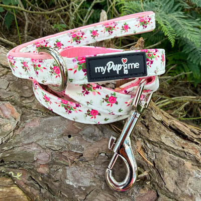 Luxury White Vintage Floral Lead by My Pup and Me