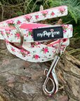 Luxury White Vintage Floral Lead by My Pup and Me