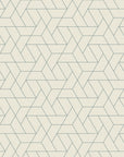 Trive Geometric Wallpaper