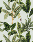 Flora Vintage Tropical Wallpaper