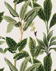 Flora Vintage Tropical Wallpaper