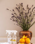 MultiSurface Cleaning Home Essentials
