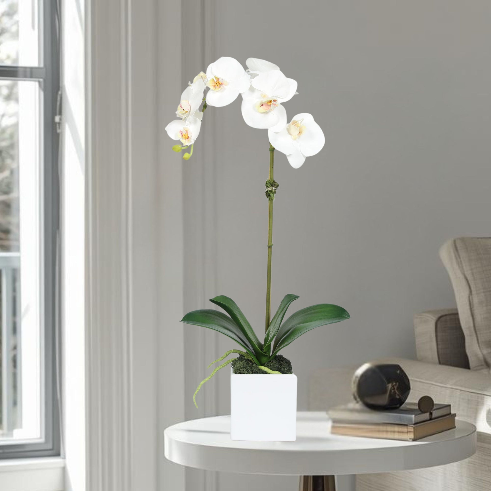 Faux Orchid Plant in Square Vase - 20"