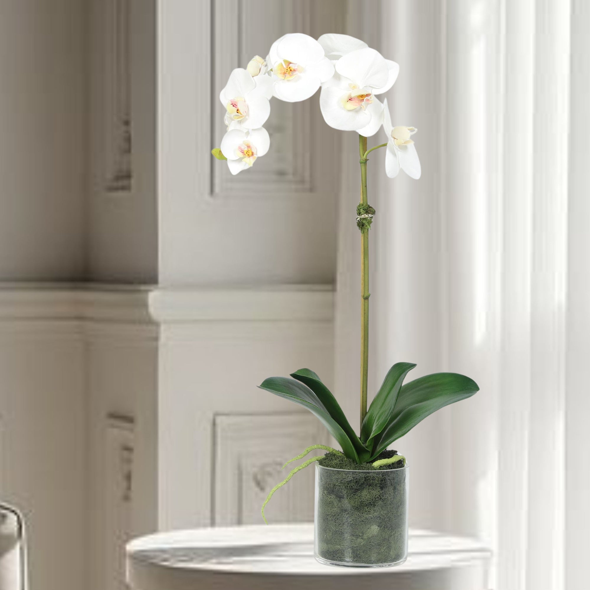 Artificial Orchid Plant in Vase - 20"