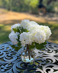 Real touch white hydrangea arrangement in glass vase - 8"
