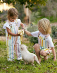 Classic Wide Stripe Shorts - Multicolour