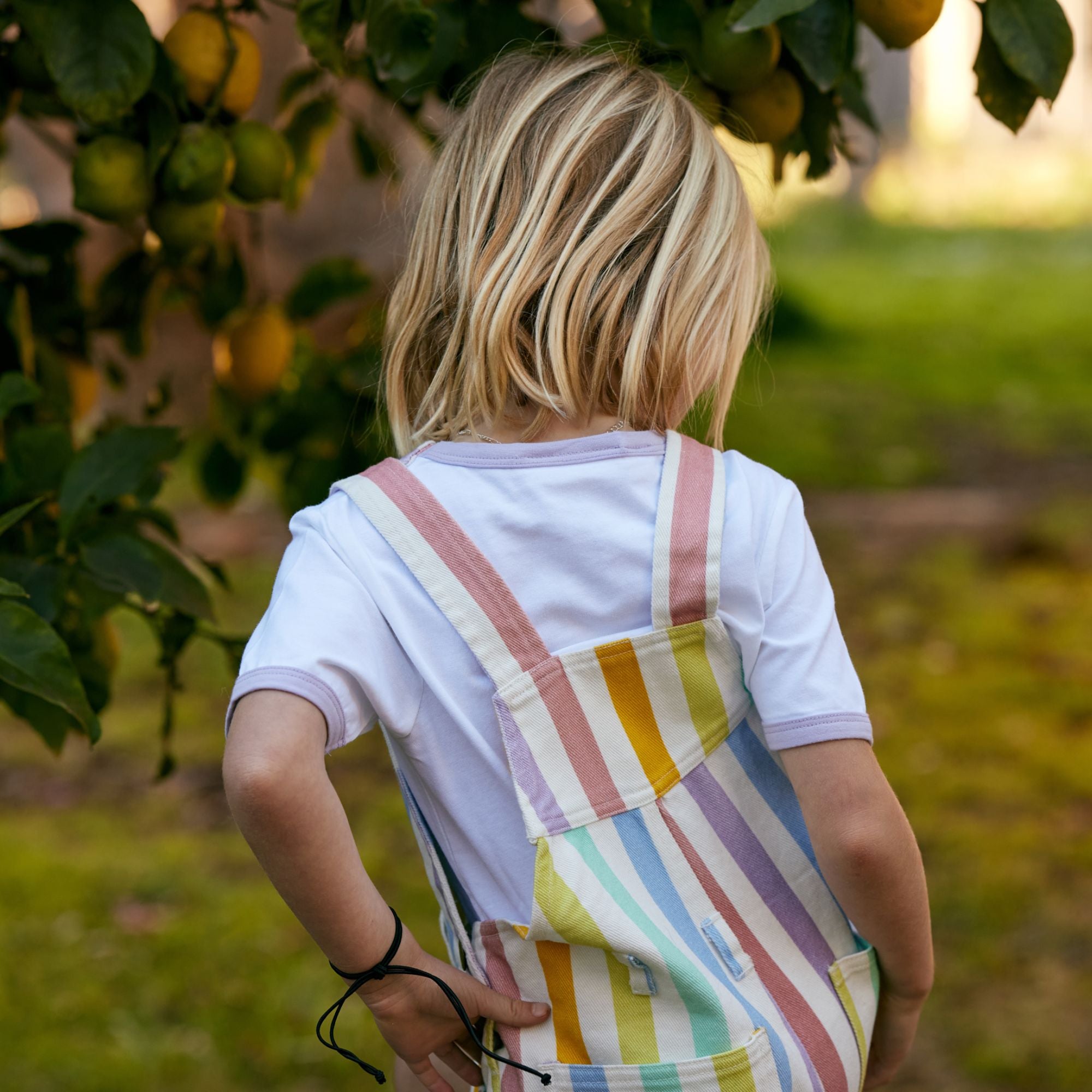Classic Wide Stripe Shorts - Multicolour