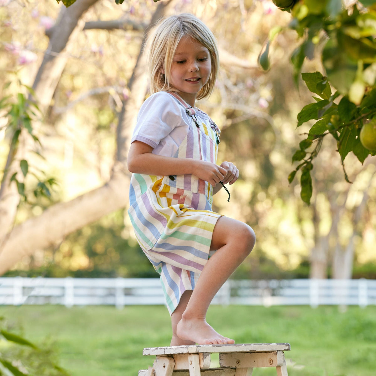Classic Wide Stripe Shorts - Multicolour