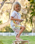 Classic Wide Stripe Shorts - Multicolour