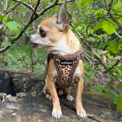 Tiny Trails Step In Luxury Leopard Fur Lined Puppy and Small Dog Harness